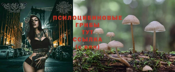 меф VHQ Горно-Алтайск