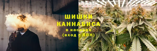 дмт Горнозаводск