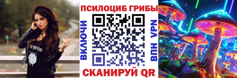 где купить   ссылка на мегу   Псилоцибиновые грибы GOLDEN TEACHER  Кувшиново 