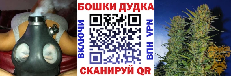 Бошки марихуана марихуана  где купить наркоту  Кувшиново 